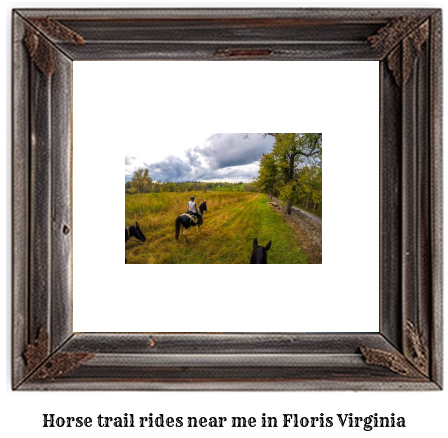 horse trail rides near me in Floris, Virginia